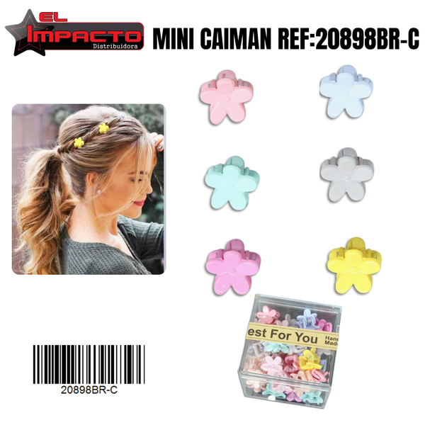 MINI CAIMAN CAJITA 20898BR-C