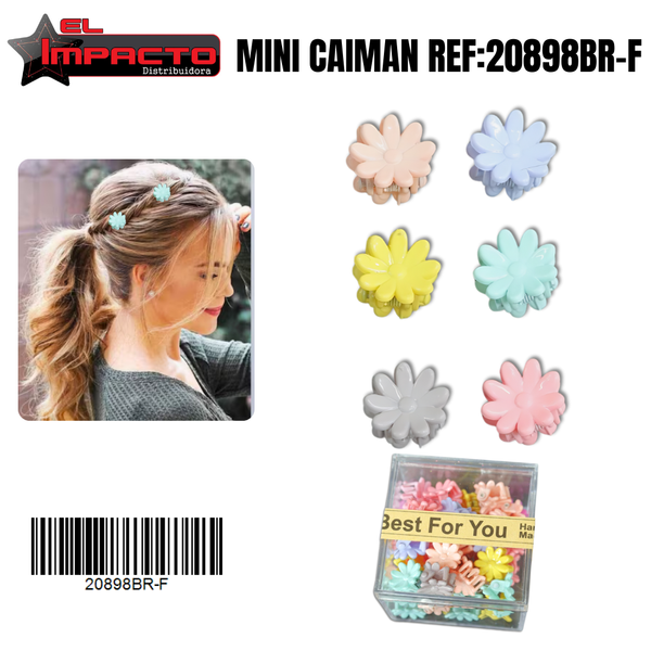 MINI CAIMAN CAJITA 20898BR-F
