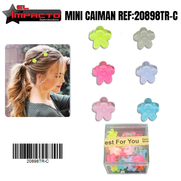 MINI CAIMAN CAJITA 20898TR-C