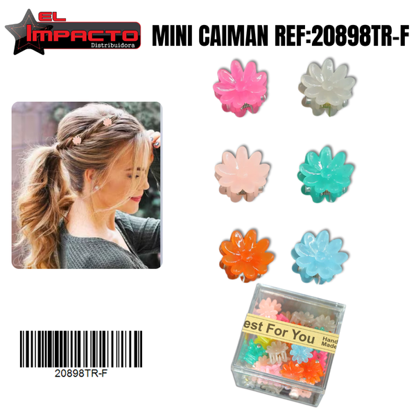 MINI CAIMAN CAJITA 20898TR-F