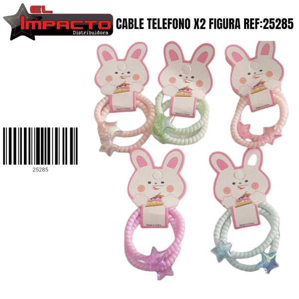 25285